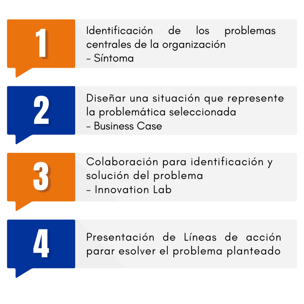 HOMINUM CONSULTORIA METODOLOGÍA